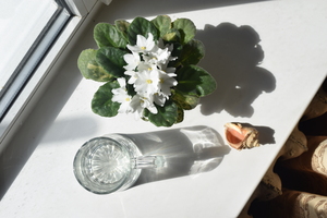 Image-preview_300x200