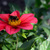 Image-square_50