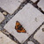 Image-square_50