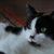 Image-square_50