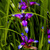 Image-square_50