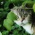 Image-square_50