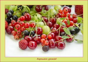 Image-preview_300x200