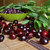 Image-square_50