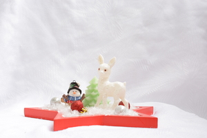 Image-preview_300x200