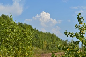 Image-preview_300x200