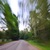 Image-square_50