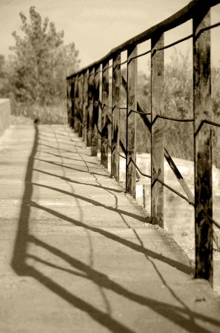 Image-normal