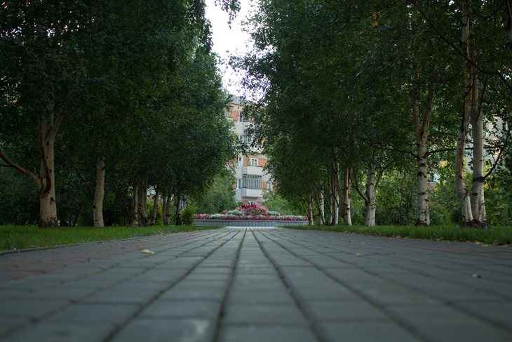 Image-normal