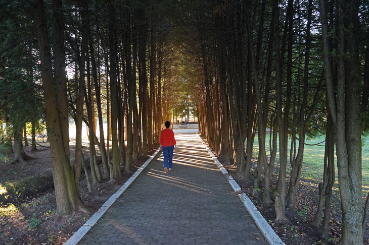 Image-normal
