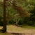 Image-square_50