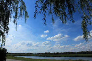 Image-preview_300x200