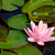 Image-square_50