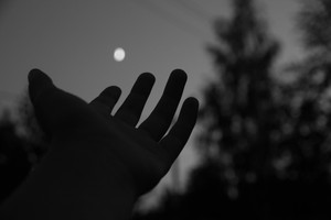 Image-preview_300x200