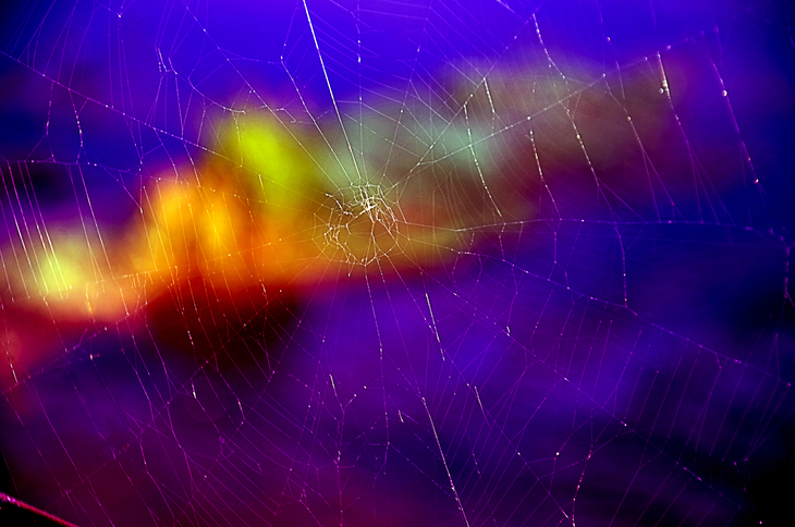 Image-normal