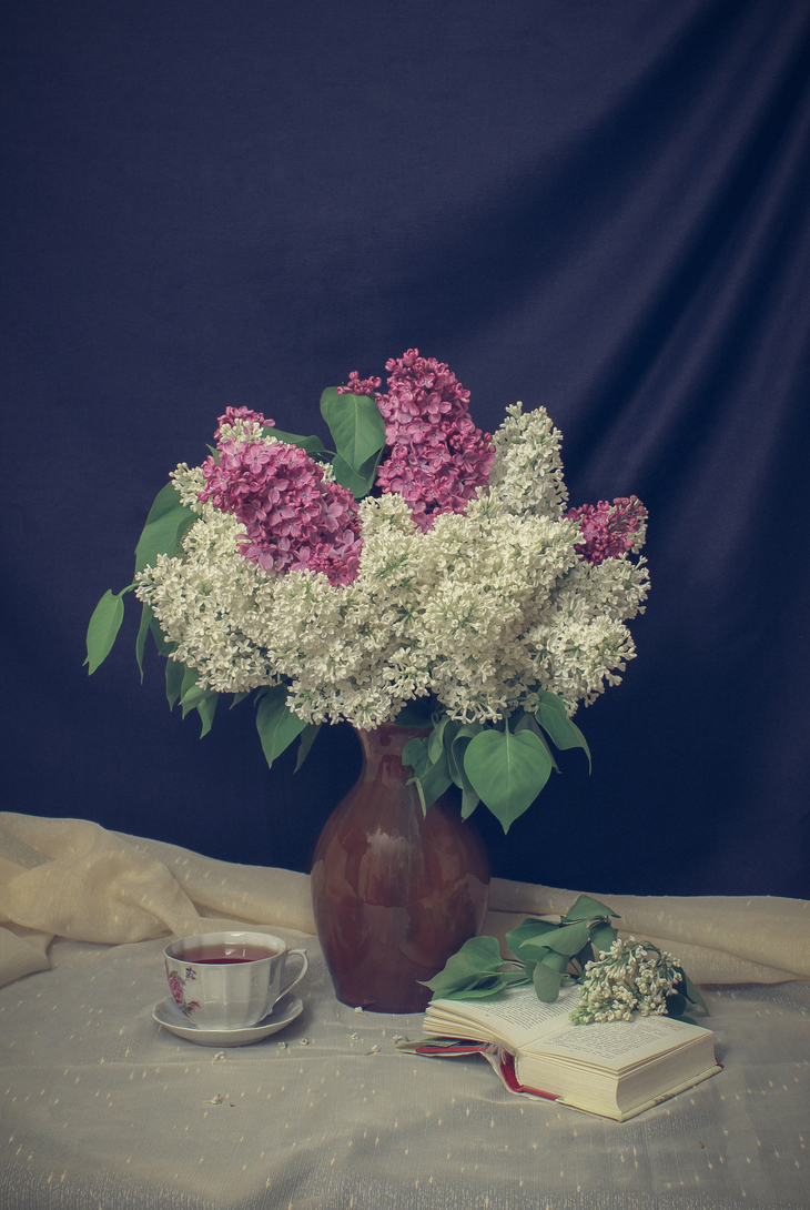 Image-normal