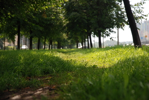 Image-preview_300x200