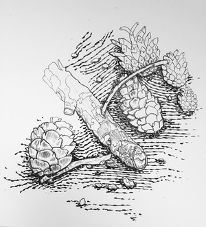 Image-preview_300x200