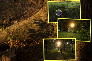 Image-preview_300x200