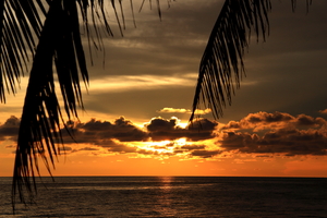 Image-preview_300x200