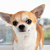 Image-square_50