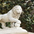 Image-square_50