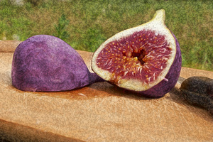 Image-preview_300x200