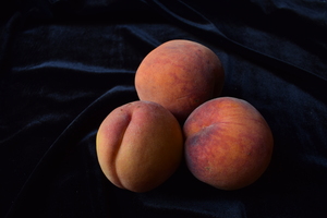 Image-preview_300x200