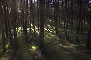 Image-preview_300x200