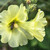 Image-square_50