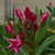 Image-square_50