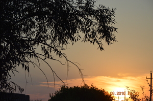 Image-preview_300x200