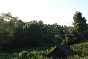 Image-preview_300x200