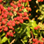 Image-square_50