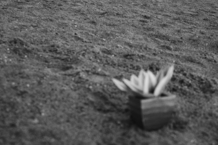 Image-normal