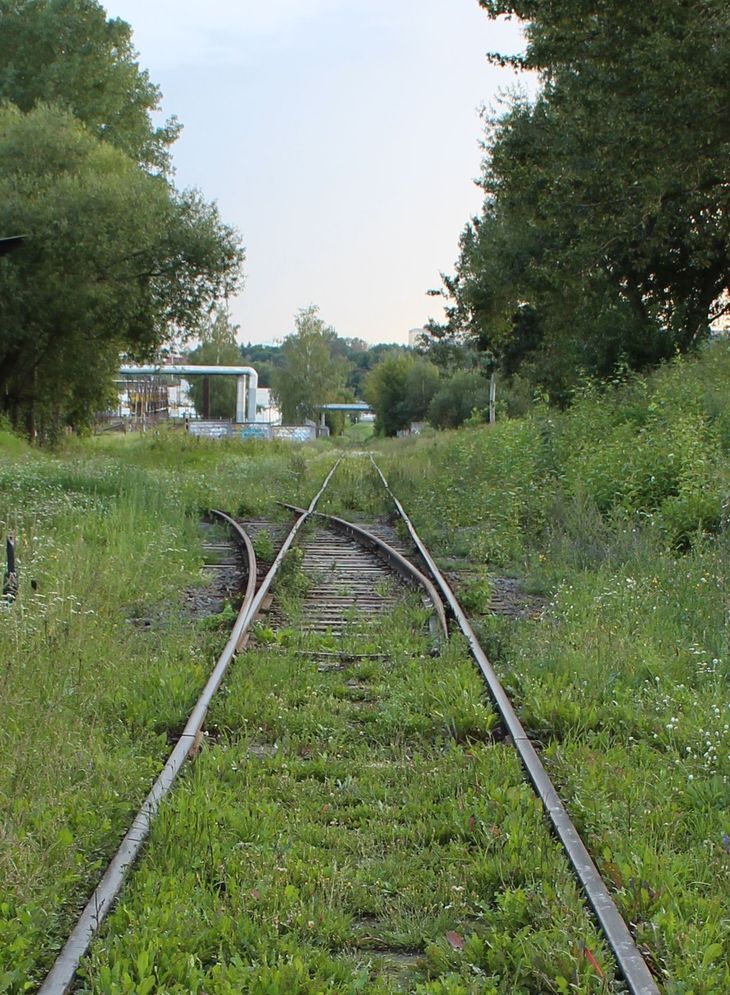 Image-normal
