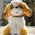Image-square_50
