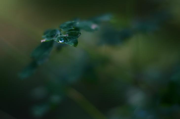 Image-normal