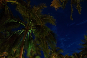 Image-preview_300x200