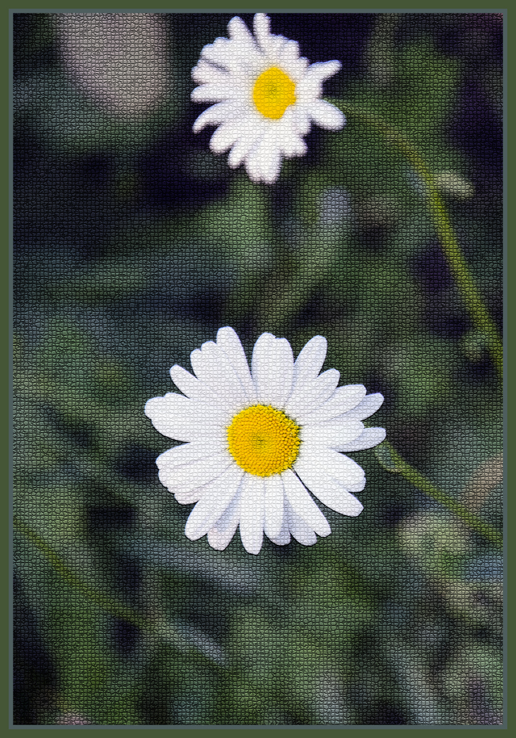 Image-normal