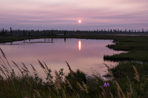 Image-preview_300x200
