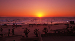 Image-preview_300x200