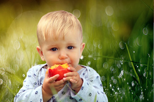 Image-preview_300x200