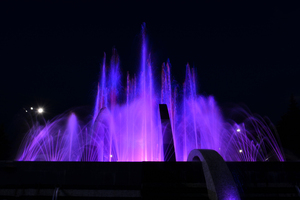 Image-preview_300x200