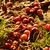 Image-square_50