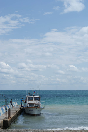 Image-preview_300x200