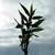 Image-square_50