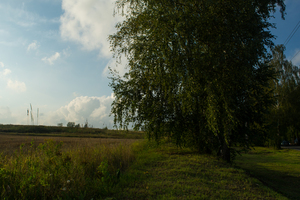 Image-preview_300x200