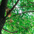 Image-square_50