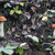 Image-square_50